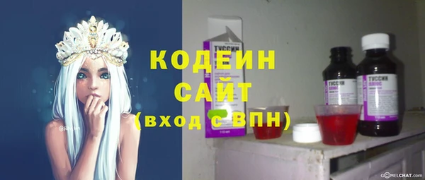 прущий лед Бородино