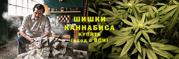 прущий лед Бородино