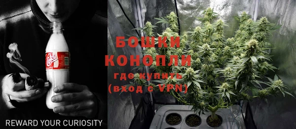 гидра Верея