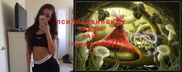 прущий лед Бородино