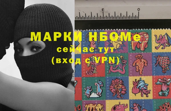 прущий лед Бородино