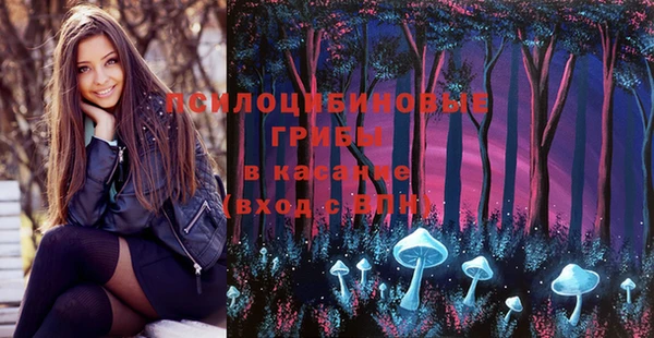 молекула духа Бугульма