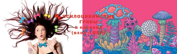 молекула духа Бугульма