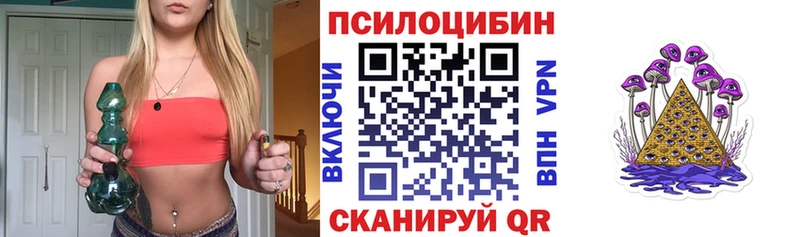 купить наркотики цена  Лыткарино  Галлюциногенные грибы мицелий 