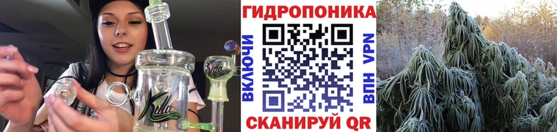 Конопля Bruce Banner Лыткарино